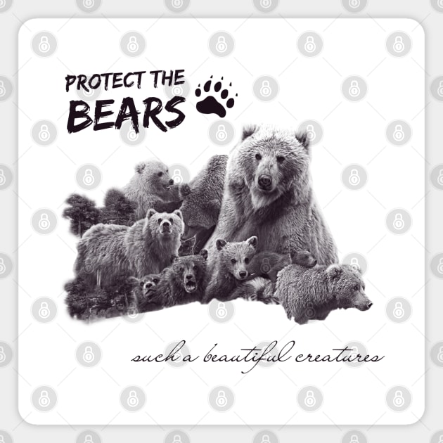 Protect the BEARS Magnet by ManuLuce